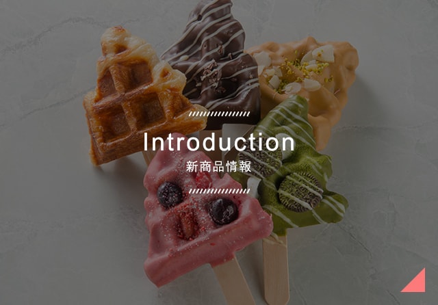 Introduction