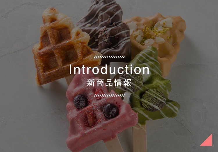 Introduction